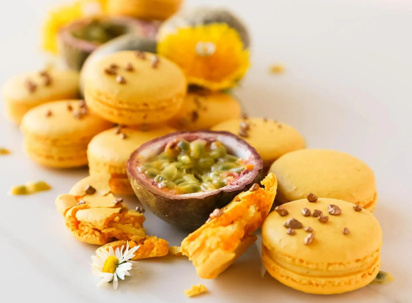 Secrettaart Newcastle Patisserie Shop - Lemon Hazelnut Macarons