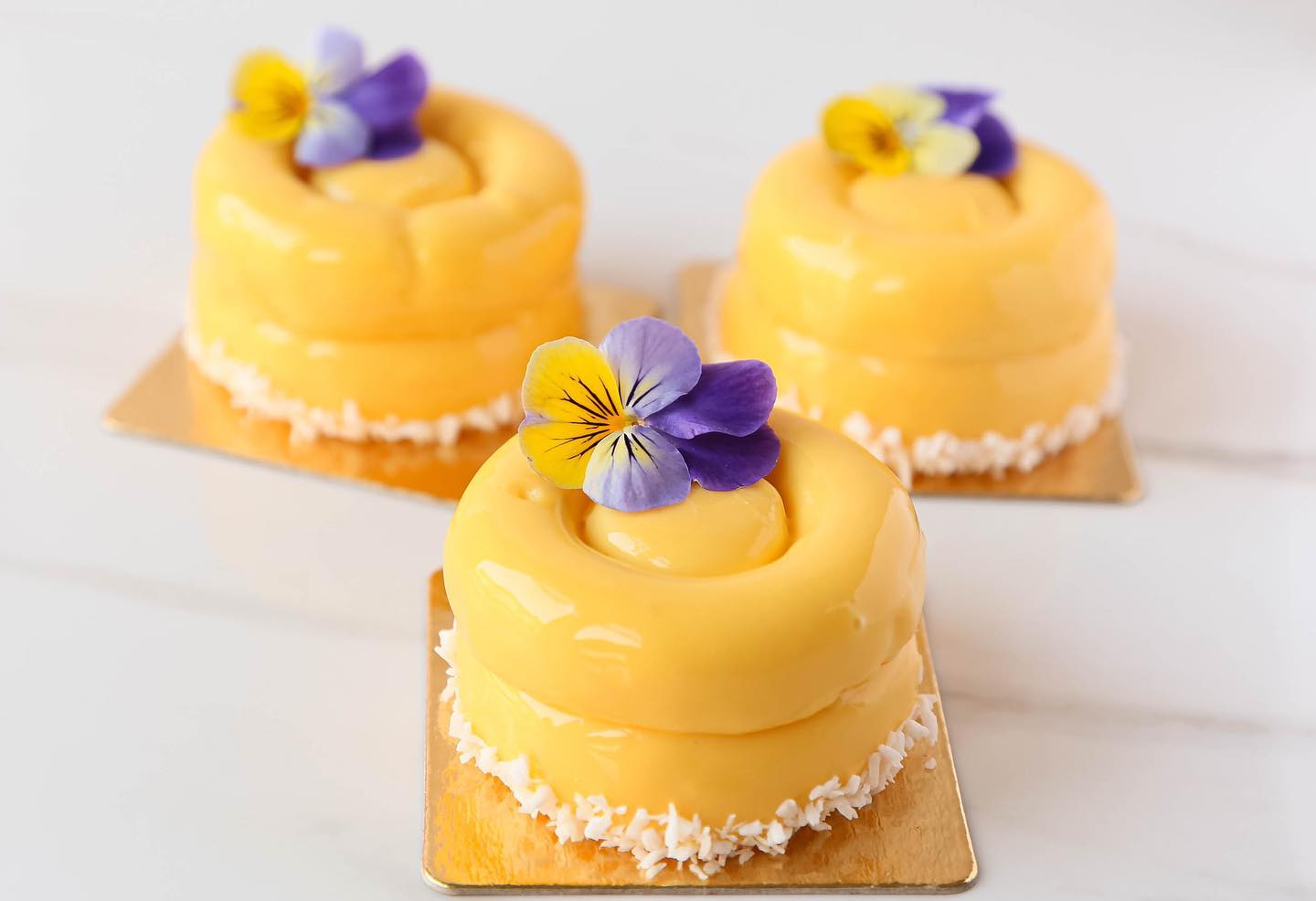 Lemon Cheesecake